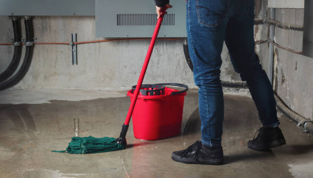 Best Professional water damage repair  in Seabrook, TX
