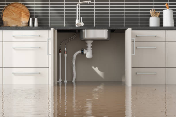 Best Water damage restoration near me  in Seabrook, TX
