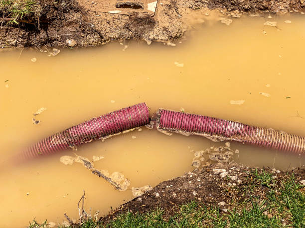 Best 24-hour water damage restoration  in Seabrook, TX