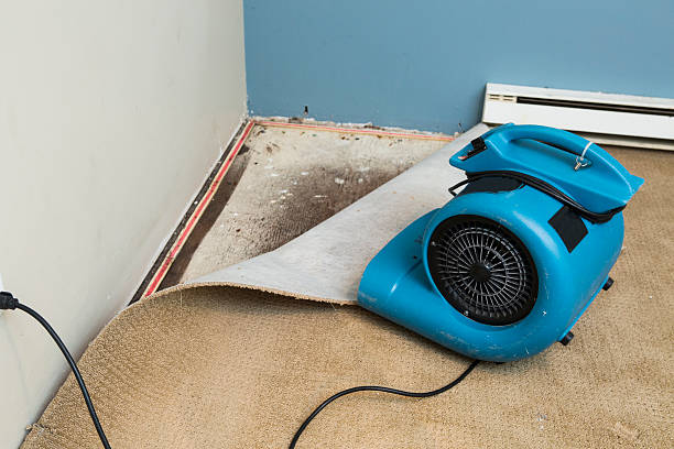 Best Basement water damage restoration  in Seabrook, TX